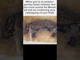Finding Fossils in the Messel Pit - A Mouse in (not quite) Baked Beans