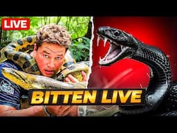 Dingo Dinkelman Bitten by Deadly Snake on Camera | Real-Life Wildlife Emergency