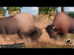 Brutal Bison Battle for Dominance! | Roblox Ecos: La Brea