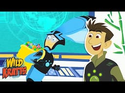 Which Bunny Is the Easter Bunny? | Activate Creature Powers | Wild Kratts