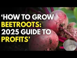 How to Grow Beetroots in Kenya: 2025 Step-by-Step Guide to Profits