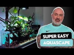 My EASIEST AQUASCAPE Ever! | NO CO2 Shallow AQUARIUM