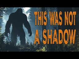 This Was NOT a Shadow