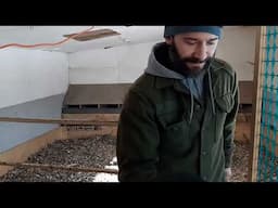 Arcadia Permaculture - Winter 2021 Farm Tour