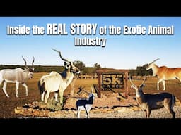 Inside the REAL STORY of the Exotic Animal Industry