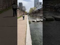 🌊 Seoul's Sacral Healing - Cheonggyecheon Stream 🌊