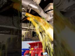 Oh Wow! This is Not Good! 2017 Ford F-150 EcoBoost Engine Failure #shorts