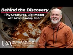 Ashley Dowling - Tiny Creatures, Big Impact | Behind the Discovery