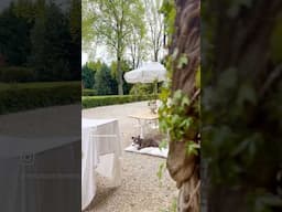 Some sweet samedi scenes…have a lovely weekend everyone! ♥️ #farmhouse