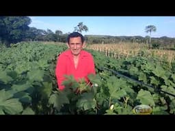COMO ESTÁ O CARA SECA E SUAS PLANTAÇÕES