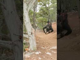 eMTB Shootout BTS - check out the full main feature!