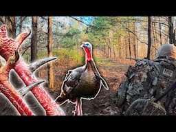 LONG SPUR Kentucky GOBBLER on Opening Day – How to Set Up in Appalachia!
