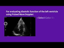 Vscan Air™ | Using presets for left ventricular evaluation