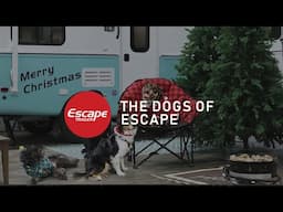The Dogs of Escape
