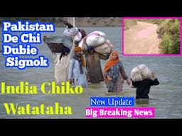 Pakistan De Chi Dubi•e Signok || India Chiko Watataha || New Update 🔥