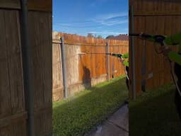 Pressure Washing A Fence￼￼