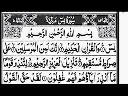 Surah Yaseen(سورۃ یس)/ھذا الصوت یعود الی تلمیذ الشیخ الشریم/#beautiful /#surah /