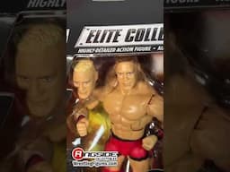 NEW IN STOCK: Mattel WWE From The Vault Series 5 Ringside Elite Exclusives 🔥🔥 Featuring John