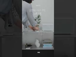 초보자도 키우기 쉬운 예쁜 식물 part1
