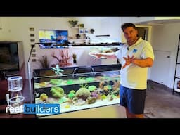 Touring The Cleanest Aquarium Show Room + High Tech Water Testing Lab