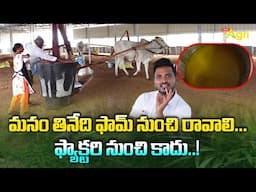 Eddu Ganuga Nune Benefits | మనం తినేది ఫామ్ నుంచి రావాలి... ఫ్యాక్టరీ నుంచి కాదు..! Tone Agri