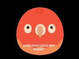 FUNNY 😀😀😀LOOK WHAT $3,000 BUY!!! - DID U JUST DO THAT? EMPTY NESTERS