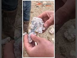 SOMETIMES, NOT FINDING GOLD IS JUST AS FUN