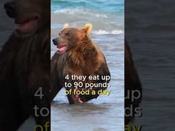 Grizzly Bears: 5 Crazy Facts You Won’t Believe! #DidYouKnow #shortsfeed