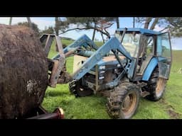 Back To The Farm