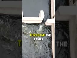 How fish negotiate the Holt Fish Pass! Watch the full video via the on screen link #RiverSevern