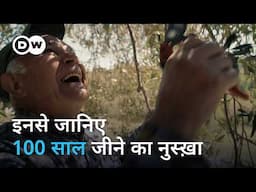 इटली का द्वीप, जहां सबसे लंबा जीते हैं लोग | The Secrets of the Centenarians | DW Documentary हिन्दी