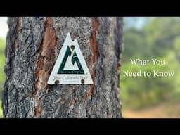 What to Know Before Hiking the Colorado Trail