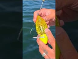 SMARTEST Japanese Fishing Hack!💡🎣 (The CHUM Basket Fishing Rig) #fishing
