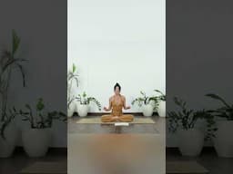 Awaken The Muse | Online Studio | Meghan Currie Yoga