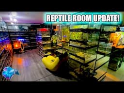 REPTILE ROOM UPDATE: Current Reptiles Available!