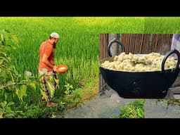 KHUD VAT & SOLA BIRIYANI | খুদ ভাত, ছোলার  বিরিয়ানি🔥