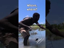What's lurking in the outback creek? 👀 #fishing #crab #deadliestcatch #outbackboys
