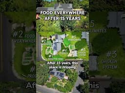 Food Everywhere - After 15 Years