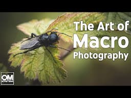 Macro Photography: Knowledge is Power