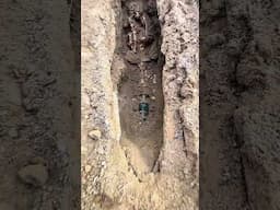 #metaldetecting #treasurehunt