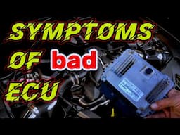 7 symptoms of a bad ecu