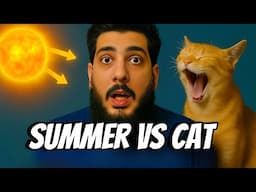 PERSIAN Cat Owners Are Making This Mistake In SUMMER | Cat are in summer
