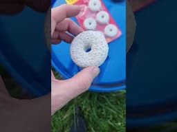 Mosquito Dunks for ponds and rain barrels