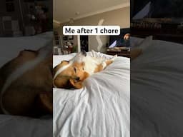 POV Me After Completing 1 Chore