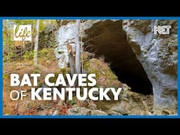 Carter Caves State Resort Park | Olive Hill, KY | Kentucky Life | KET