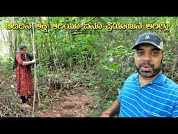 ಬಿದಿರಿನ ಅಕ್ಕಿ ಆಗಿತ್ತಂತೆ! ನಮಗೆ ಗೊತ್ತೇ ಇಲ್ಲಾ.. ಒಳ್ಳೆ Profit ಮಿಸ್ ಆಯಿತು Kannada Vlog Mr and Mrs Kamath