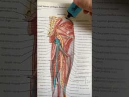 4 Gluteal Tendinopathy Exercises