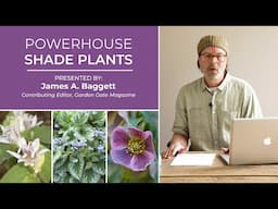 Shade Plant Profile: Columbine | Powerhouse Shade Plants #shadegarden #gardentips #plantvideo