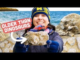 This Michigan Island Has THOUSANDS of Fossils
