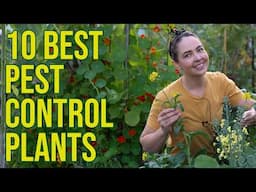 10 Florida Garden Companion Plants to Repel Pests Naturally